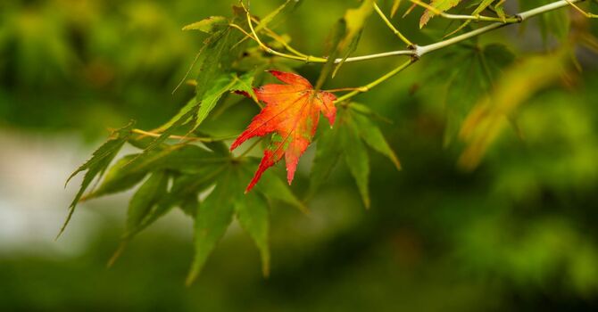 How Therapy Can Help You Get Through Life's Biggest Changes